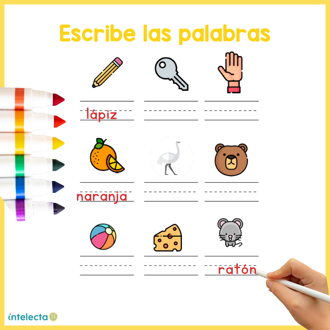 Escribe las palabras – Intelecta