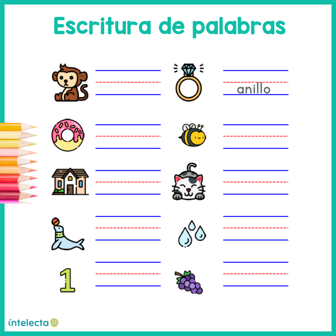 Escritura de palabras – Intelecta
