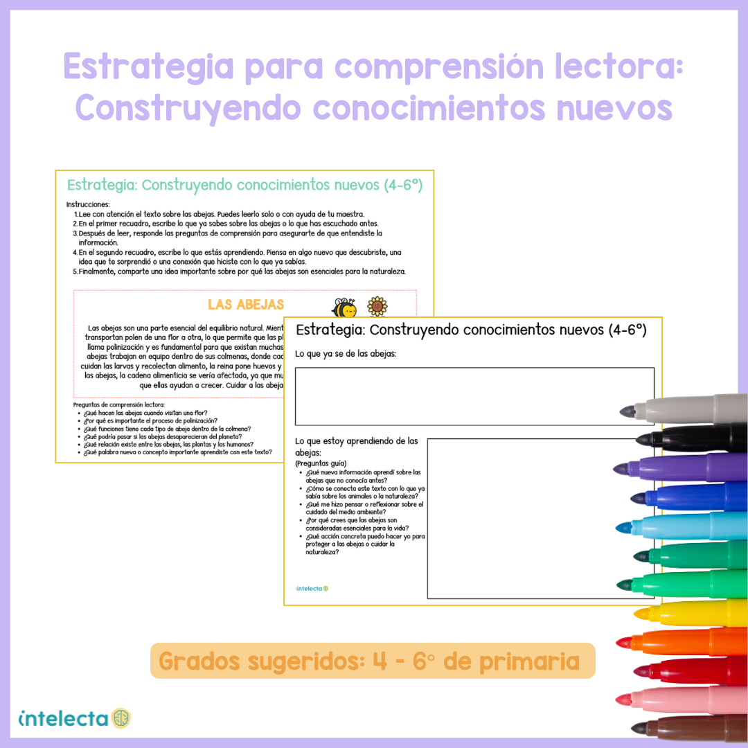 Estrategias para comprensión lectora: construcción de conocimiento 4° a 6°