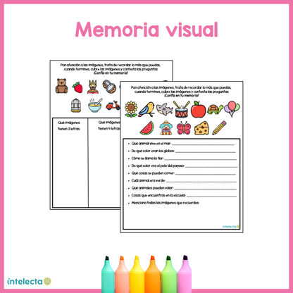 Memoria visual