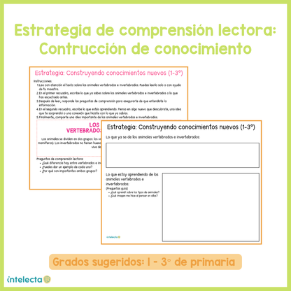 Estrategia para comprensión lectora: Construcción de conocimiento 1° a 3° primaria