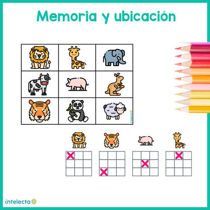 Memoria y ubicación