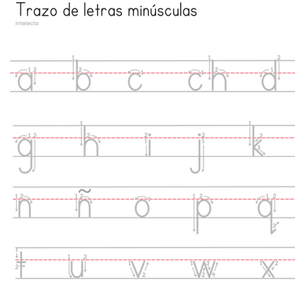 Trazo de letras con números