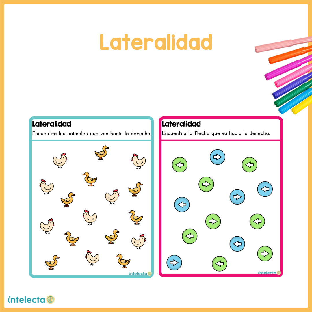 Lateralidad