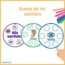 Cargar imagen en el visor de la galería, La rueda de los sentidos