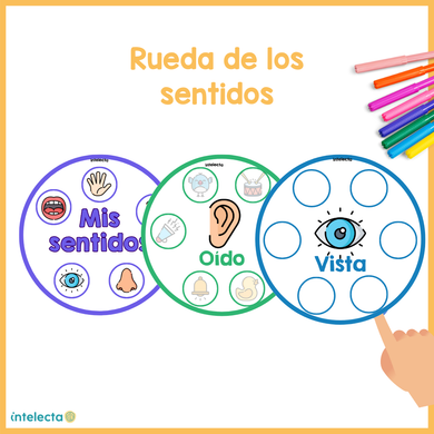 La rueda de los sentidos